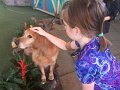 Kids_FL-Day5_11-2016 (29)